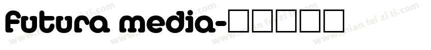 futura media字体转换